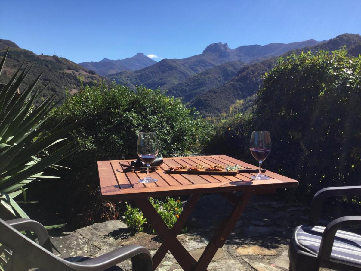 Olmares Terrace Apartment - Picos De Europa Lomena Luaran gambar