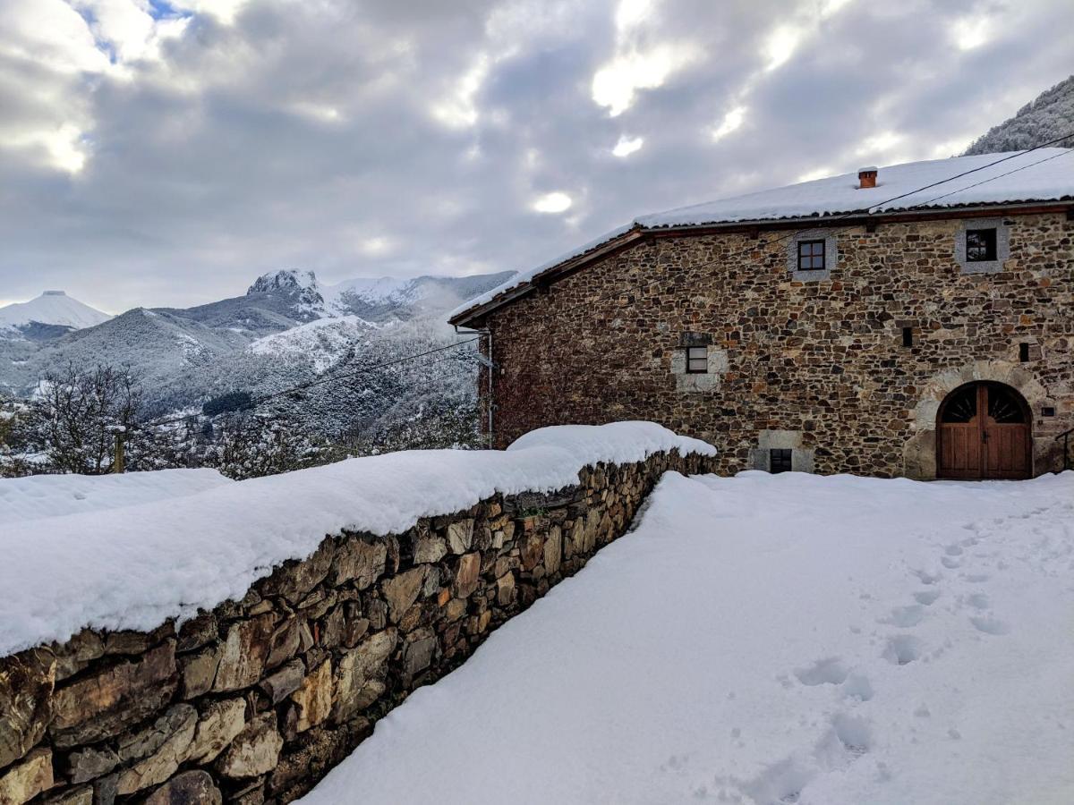 Olmares Terrace Apartment - Picos De Europa Lomena Luaran gambar