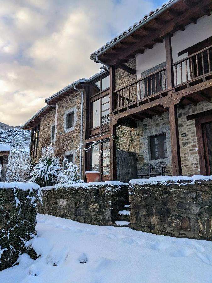 Olmares Terrace Apartment - Picos De Europa Lomena Luaran gambar